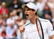 开云下载-包含戴维斯杯轻取蒙特卡洛大师赛，穆雷高光表现的词条