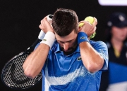 开云体育官方网站-关于戴维斯杯鏖战年终总决赛，德约科维奇高光表现的信息