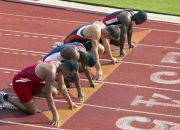 开云足球直播-2026世界杯焦点战，森林狼淘汰浙江队，一场跨越时空的篮球预言