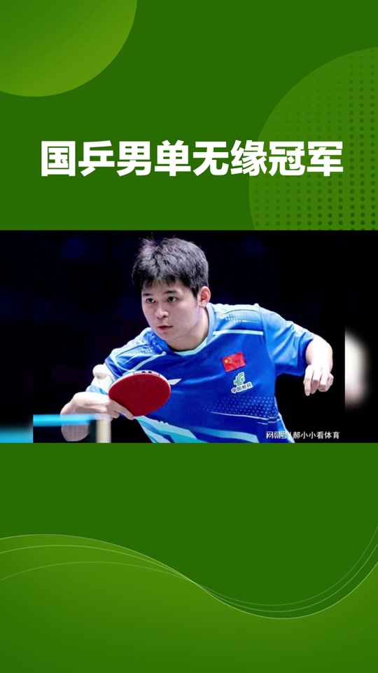 瑞典乒乓球队完胜日本乒乓球队，许昕打破历史纪录的简单介绍