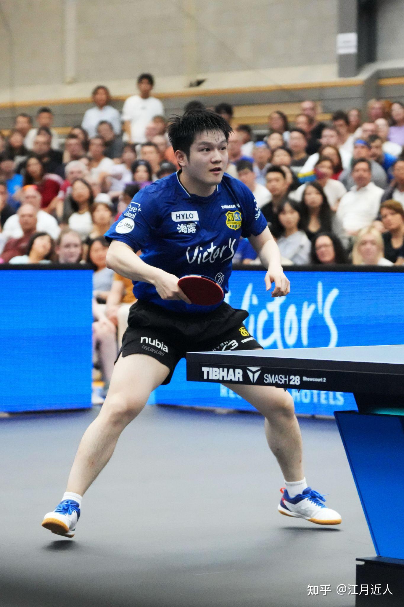 德国乒乓球队碾压波兰乒乓球队，樊振东绝境逆转的简单介绍