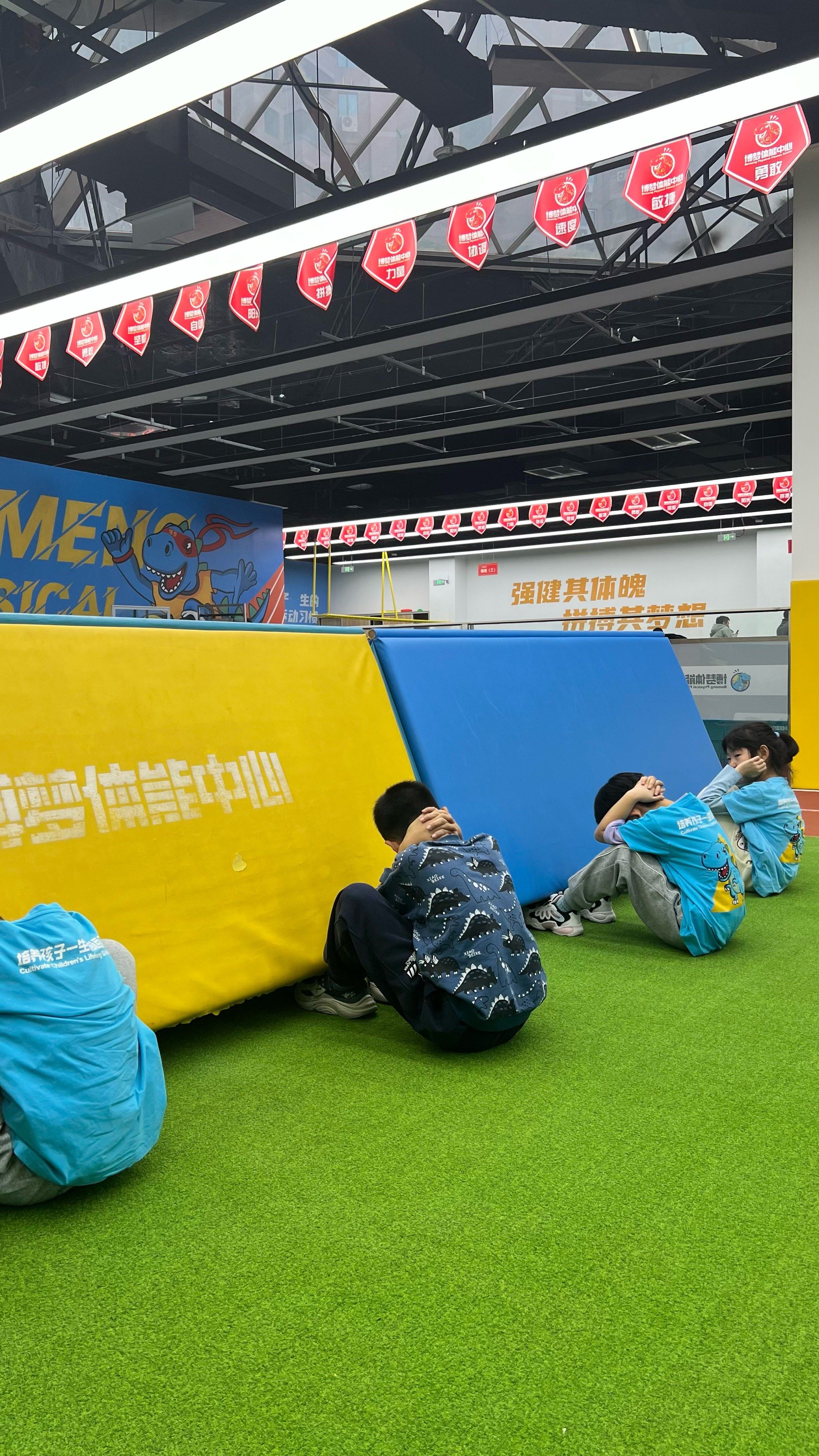 体能测评项目培养青少年健康意识的简单介绍