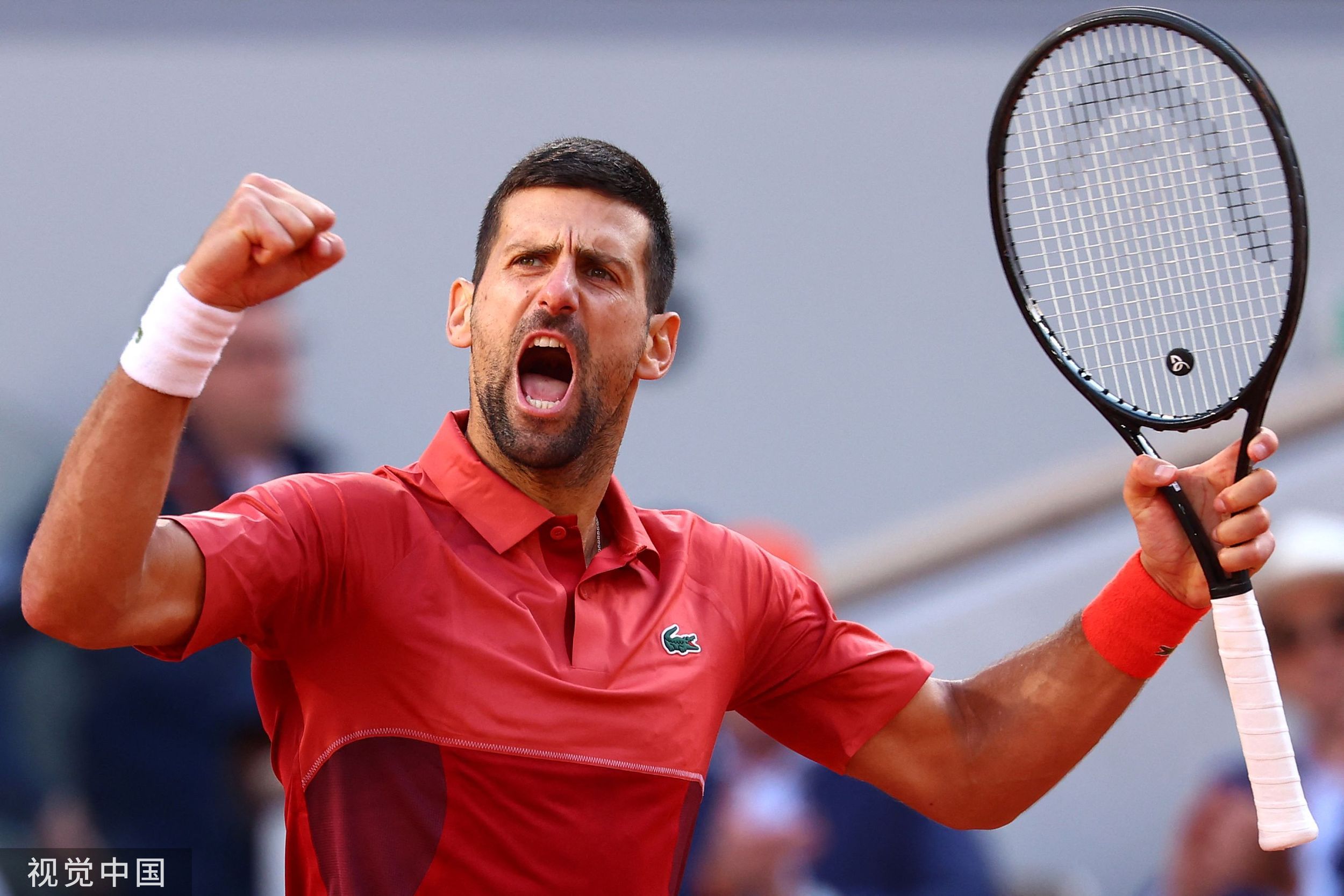 关于戴维斯杯鏖战年终总决赛，德约科维奇高光表现的信息