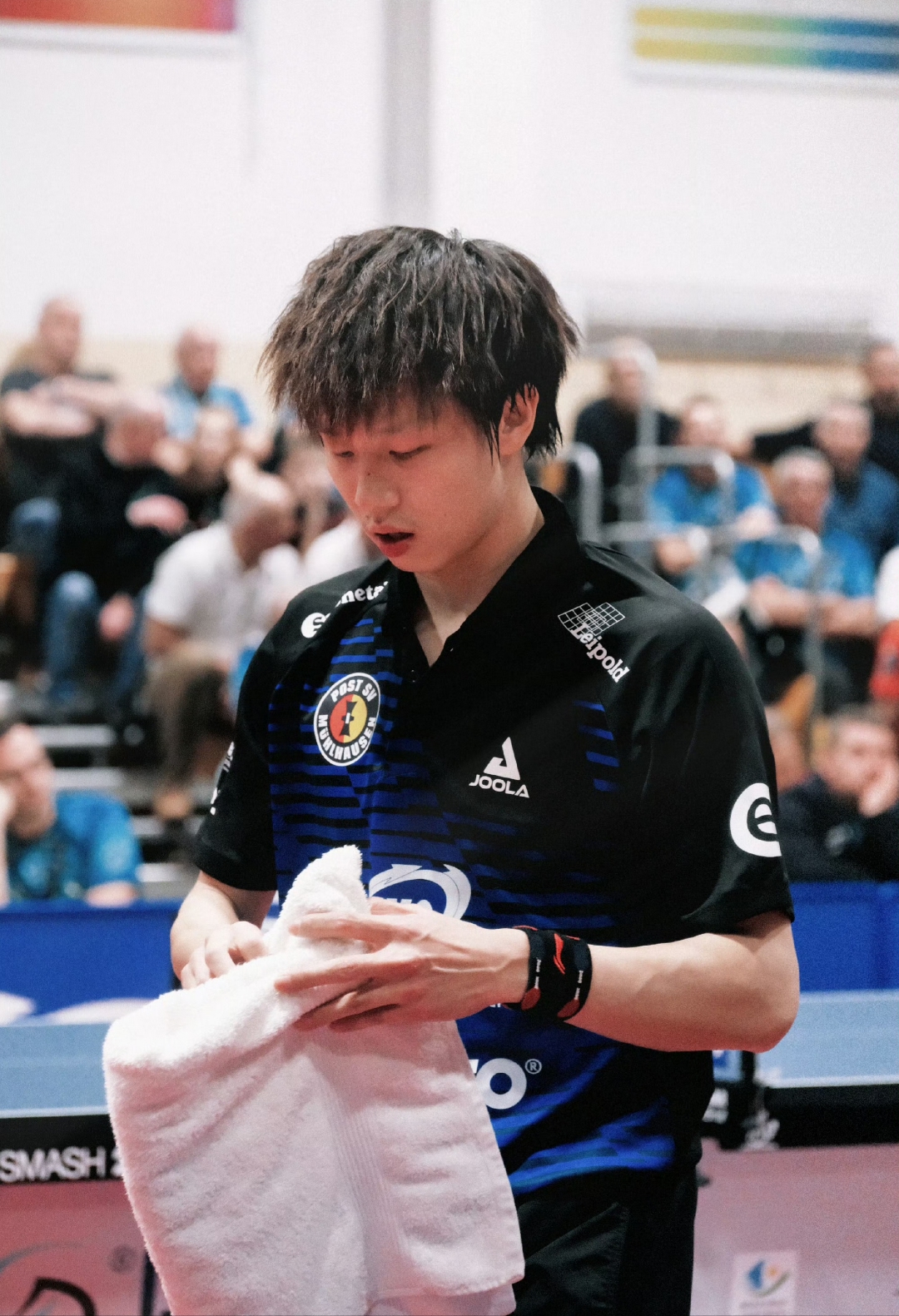 包含瑞典队完胜奥地利队,林高远高光表现的词条 包含瑞典队完胜奥地利队,林高远高光表现的词条