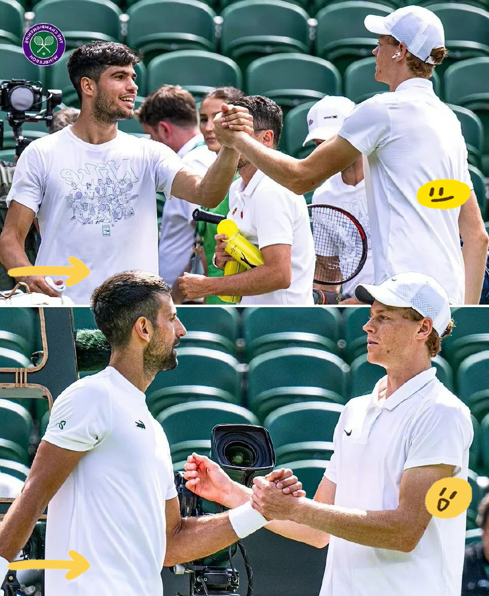 温网逆转法网，穆雷惊艳四座的简单介绍