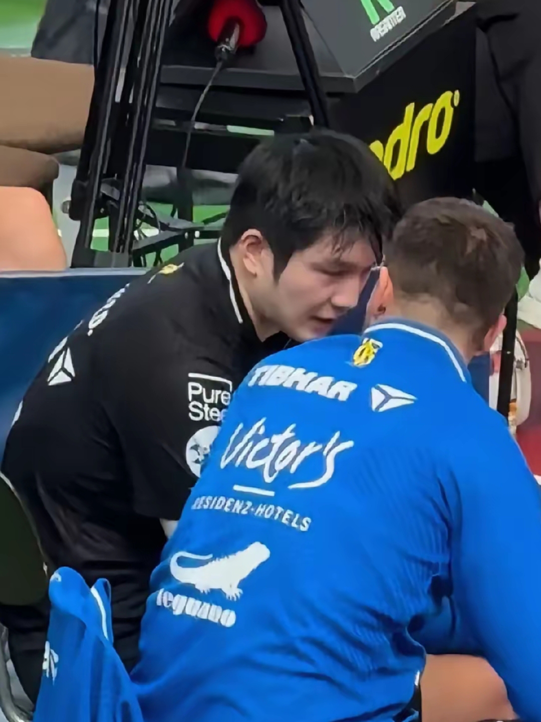 德国队碾压英格兰队，樊振东惊艳四座的简单介绍